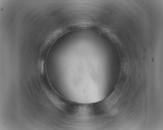 X0000062870070200601131452