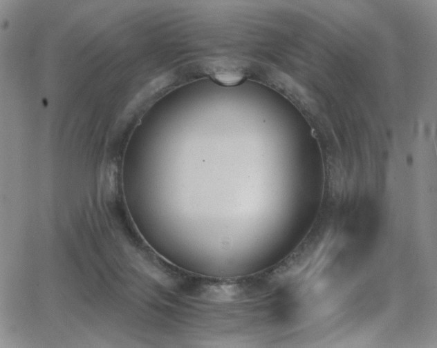 X0000062870071200601131452