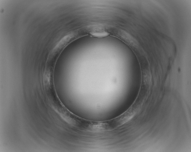 X0000062870072200601131452