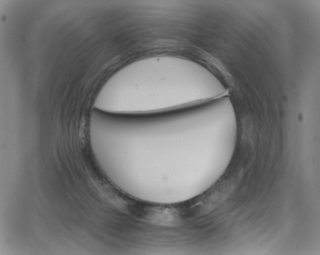 X0000062870073200601131452