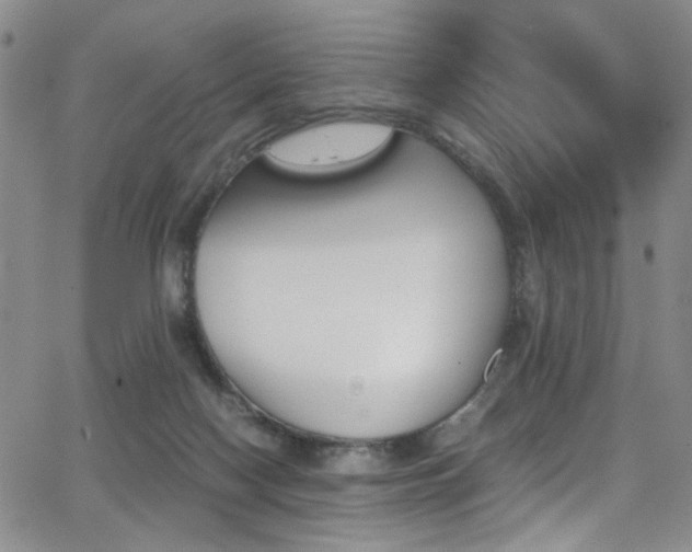 X0000062870074200601131452