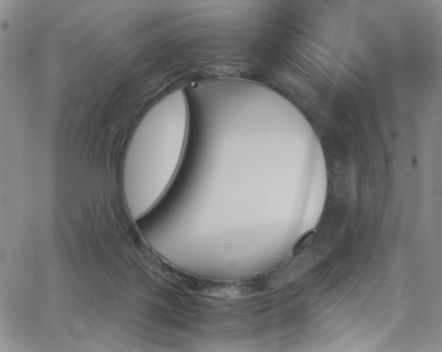 X0000062870075200601131452