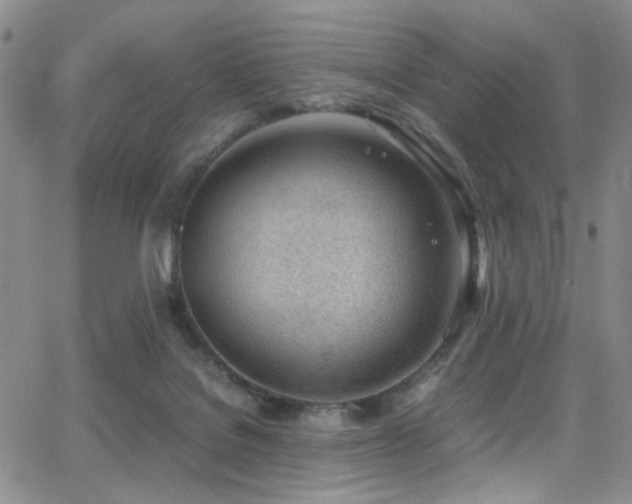 X0000062870076200601131452