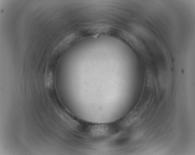 X0000062870077200601131452