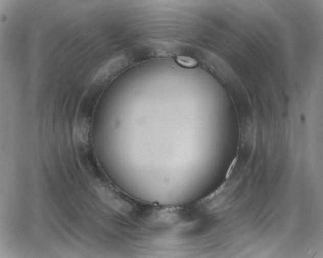 X0000062870078200601131452