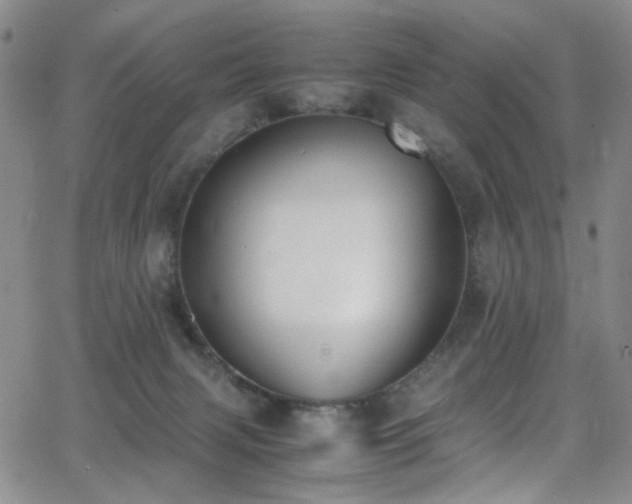 X0000062870079200601131452