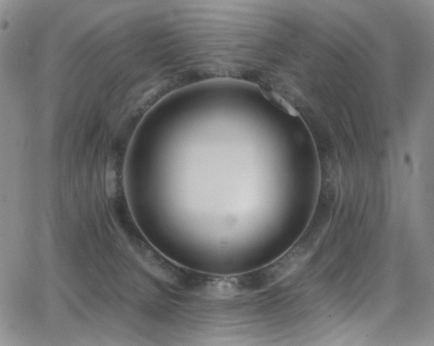 X0000062870080200601131452