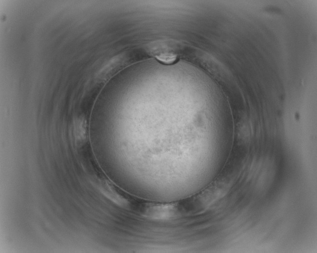 X0000062870081200601131452