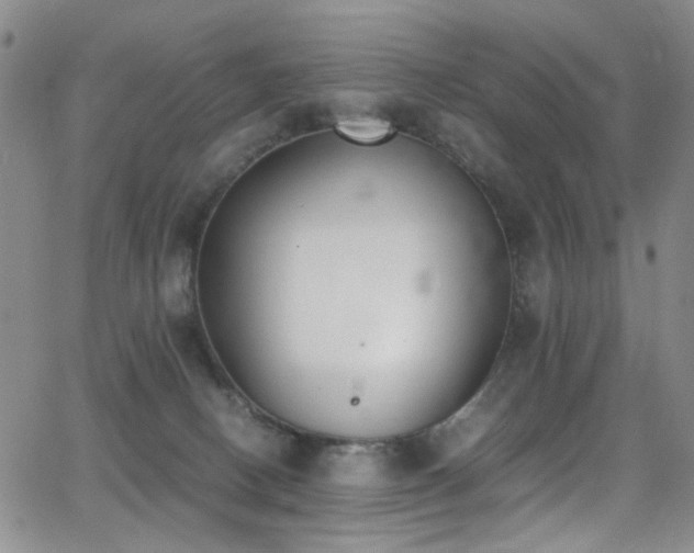 X0000062870082200601131452