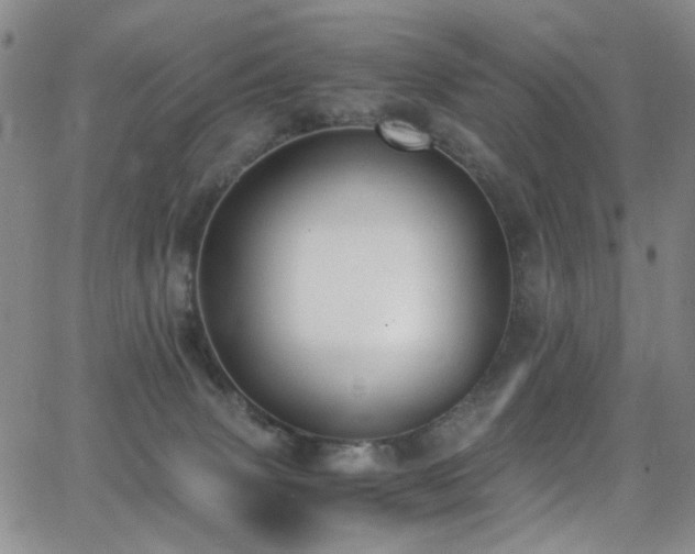 X0000062870083200601131452