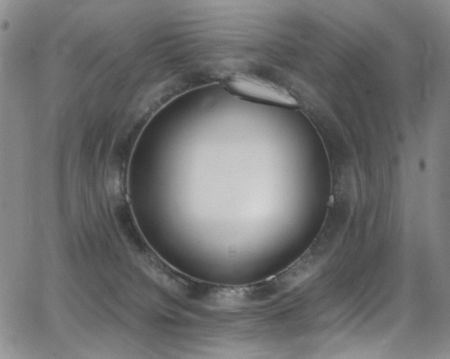 X0000062870084200601131452