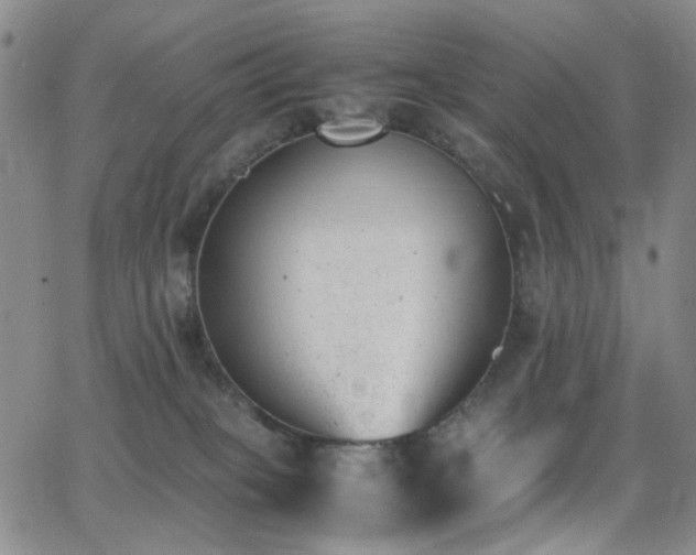 X0000062870085200601131452