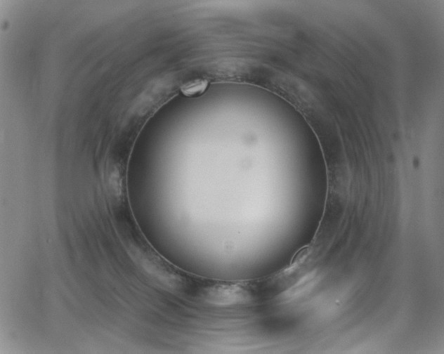 X0000062870086200601131452