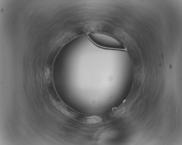 X0000062870087200601131452