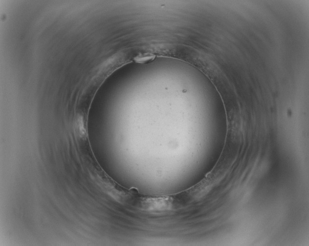 X0000062870089200601131452