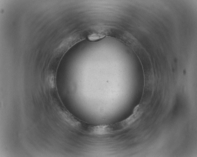 X0000062870090200601131452