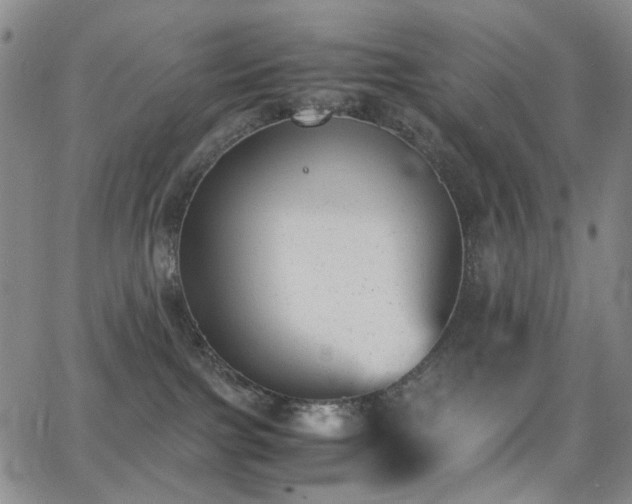 X0000062870091200601131452