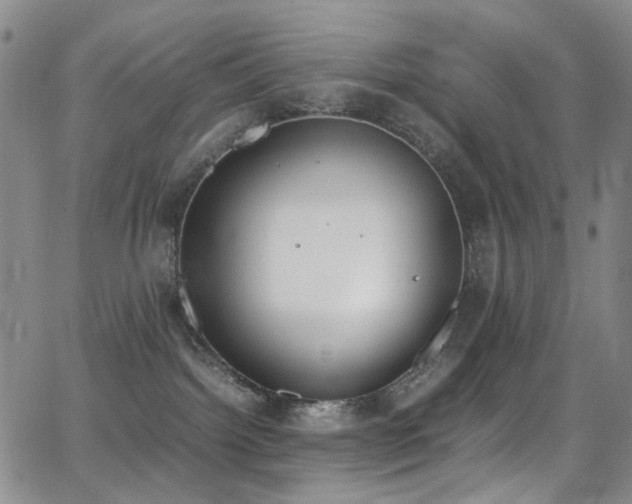 X0000062870092200601131452