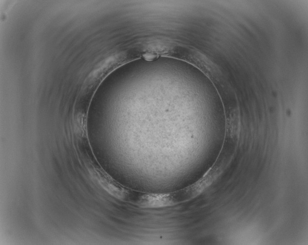 X0000062870093200601131452