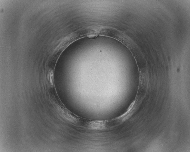 X0000062870094200601131452