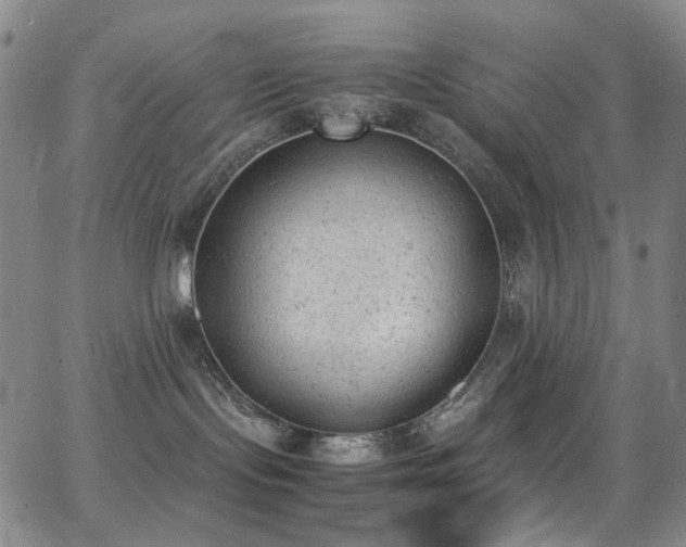 X0000062870095200601131452