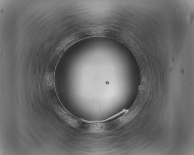 X0000062870096200601131452