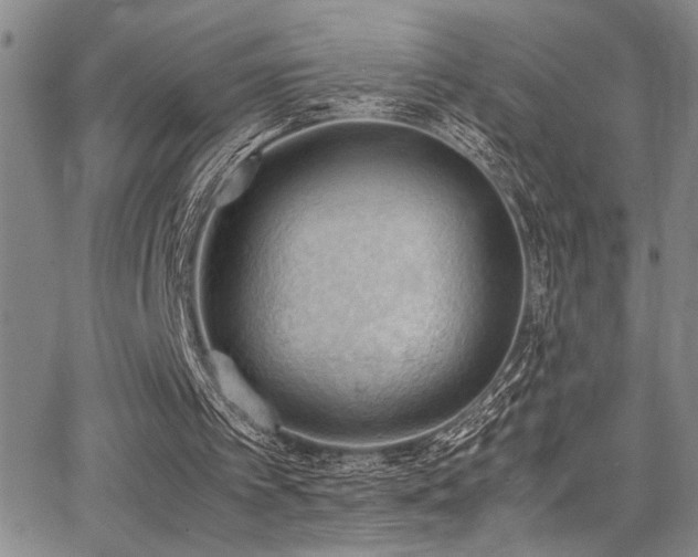 X0000062870097200601131452