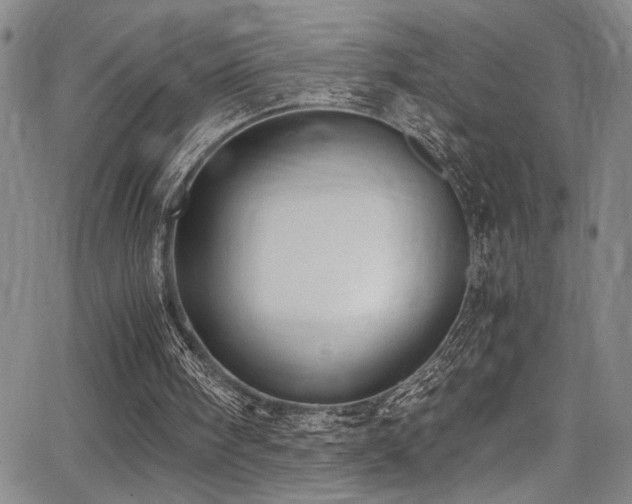 X0000062870098200601131451