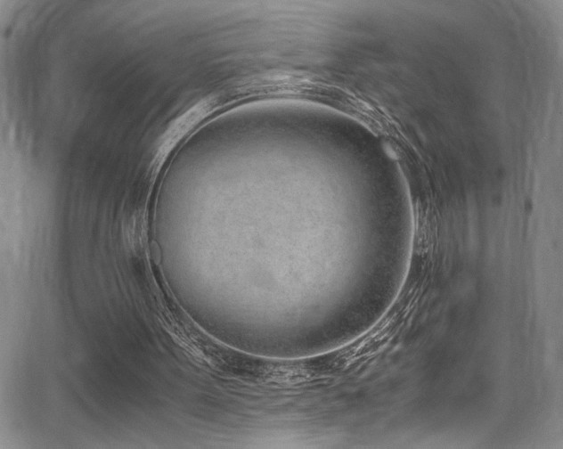 X0000062870099200601131451