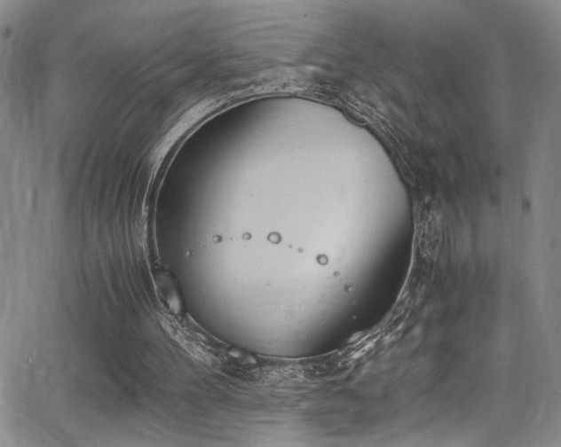 X0000062870100200601131451