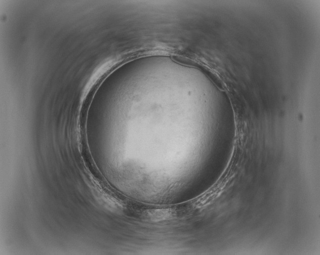 X0000062870102200601131451