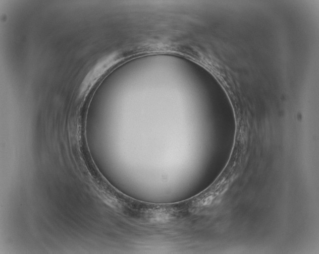 X0000062870103200601131451