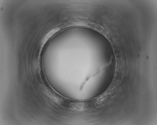 X0000062870104200601131451