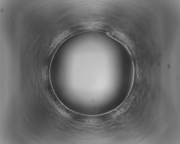 X0000062870105200601131451