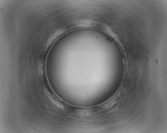 X0000062870106200601131451