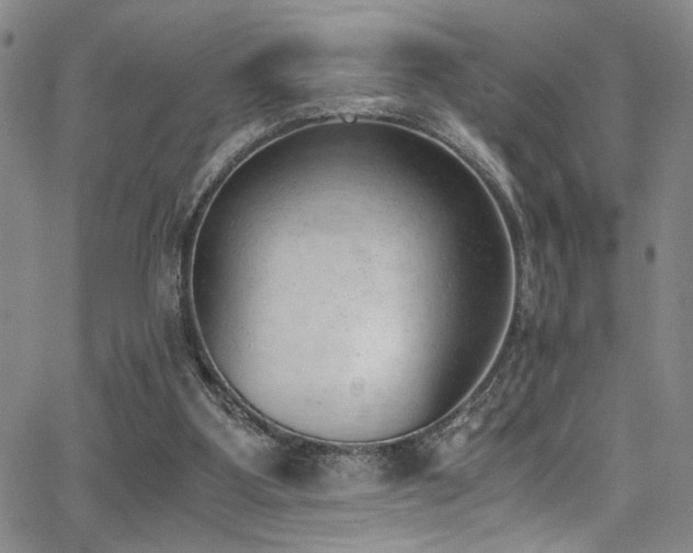 X0000062870107200601131451