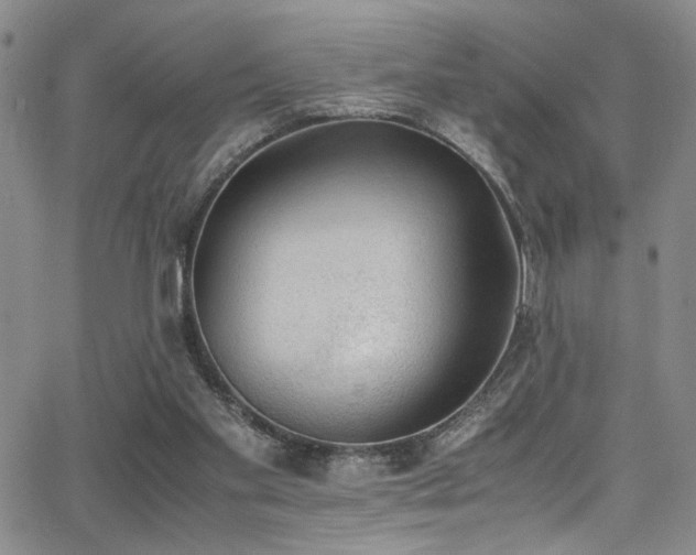 X0000062870109200601131451