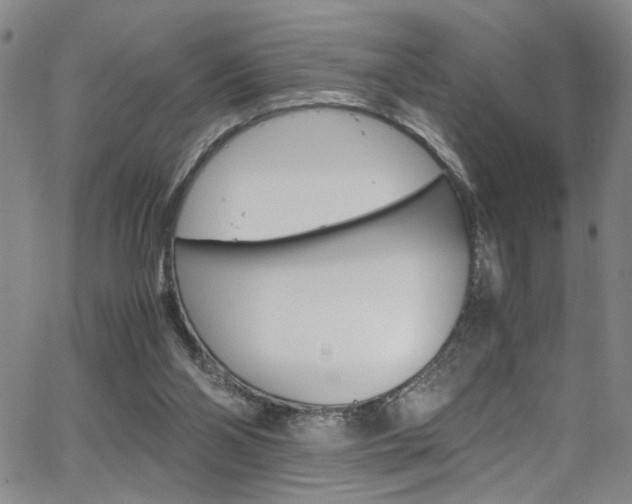 X0000062870110200601131451