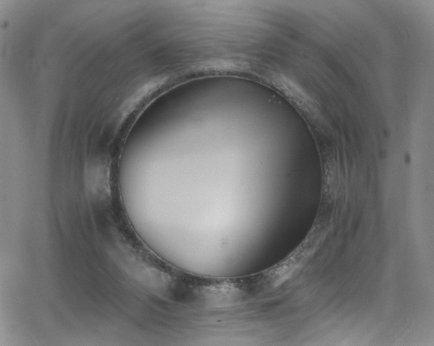 X0000062870112200601131451