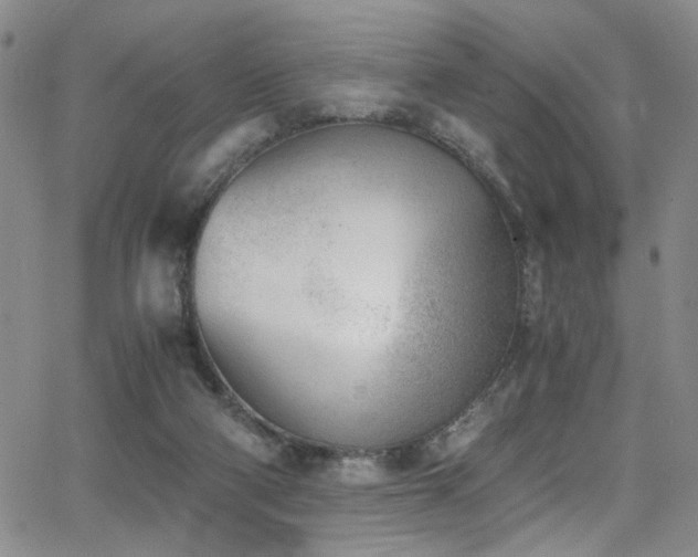 X0000062870114200601131451