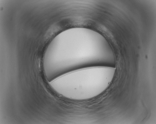 X0000062870115200601131451