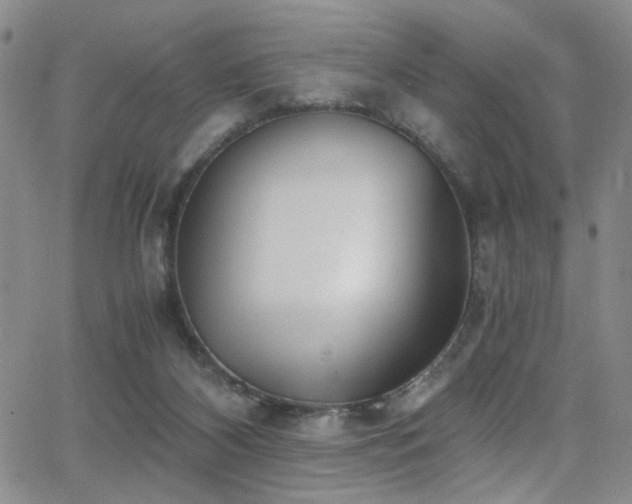 X0000062870116200601131451