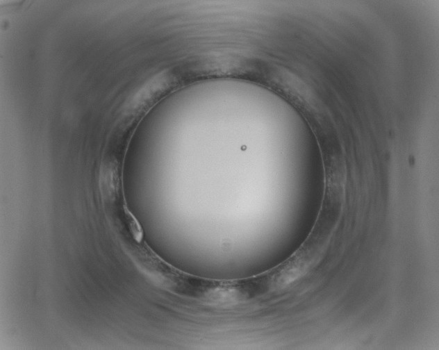 X0000062870119200601131451