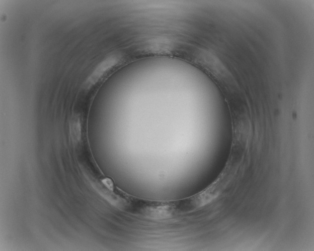 X0000062870120200601131451