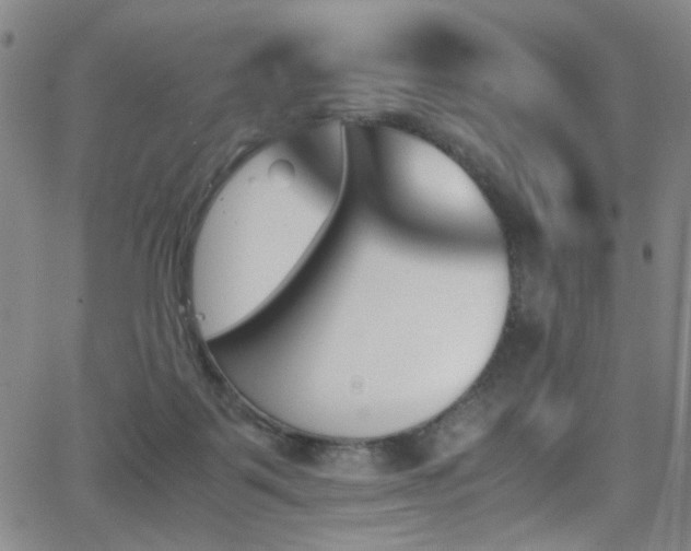 X0000062870123200601131451