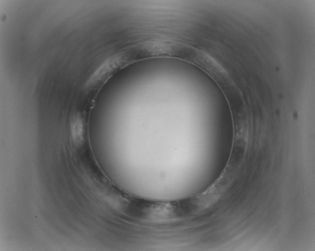 X0000062870124200601131451