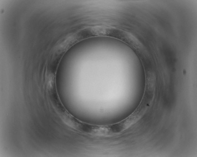 X0000062870125200601131451