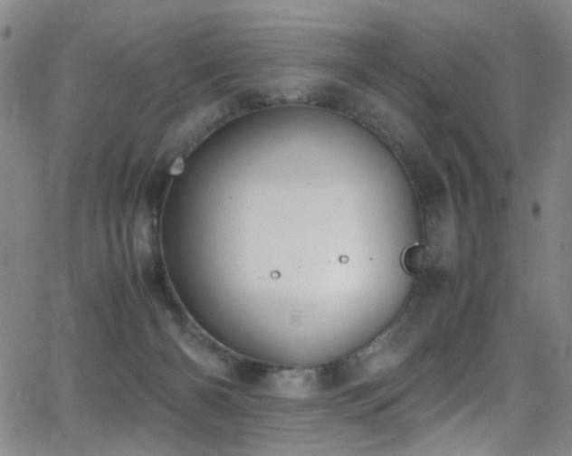 X0000062870126200601131451