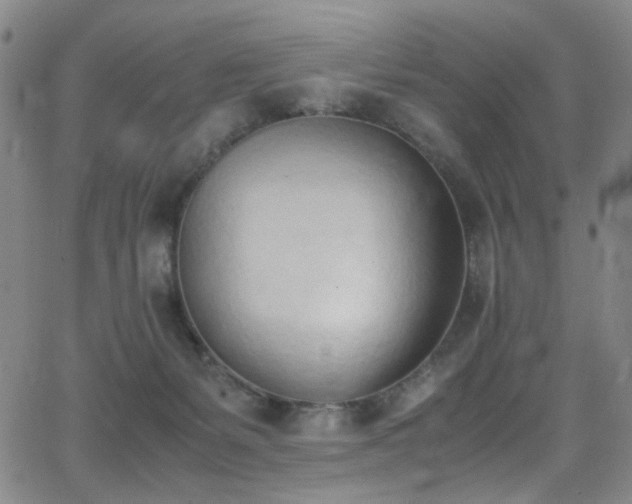 X0000062870127200601131451