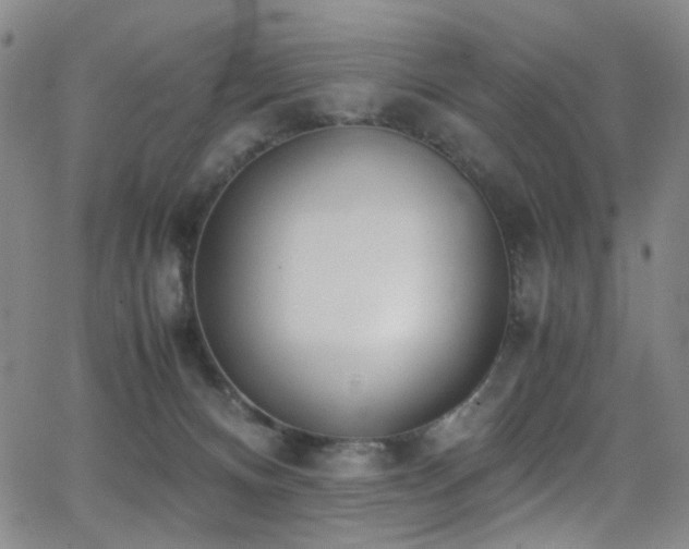 X0000062870128200601131451